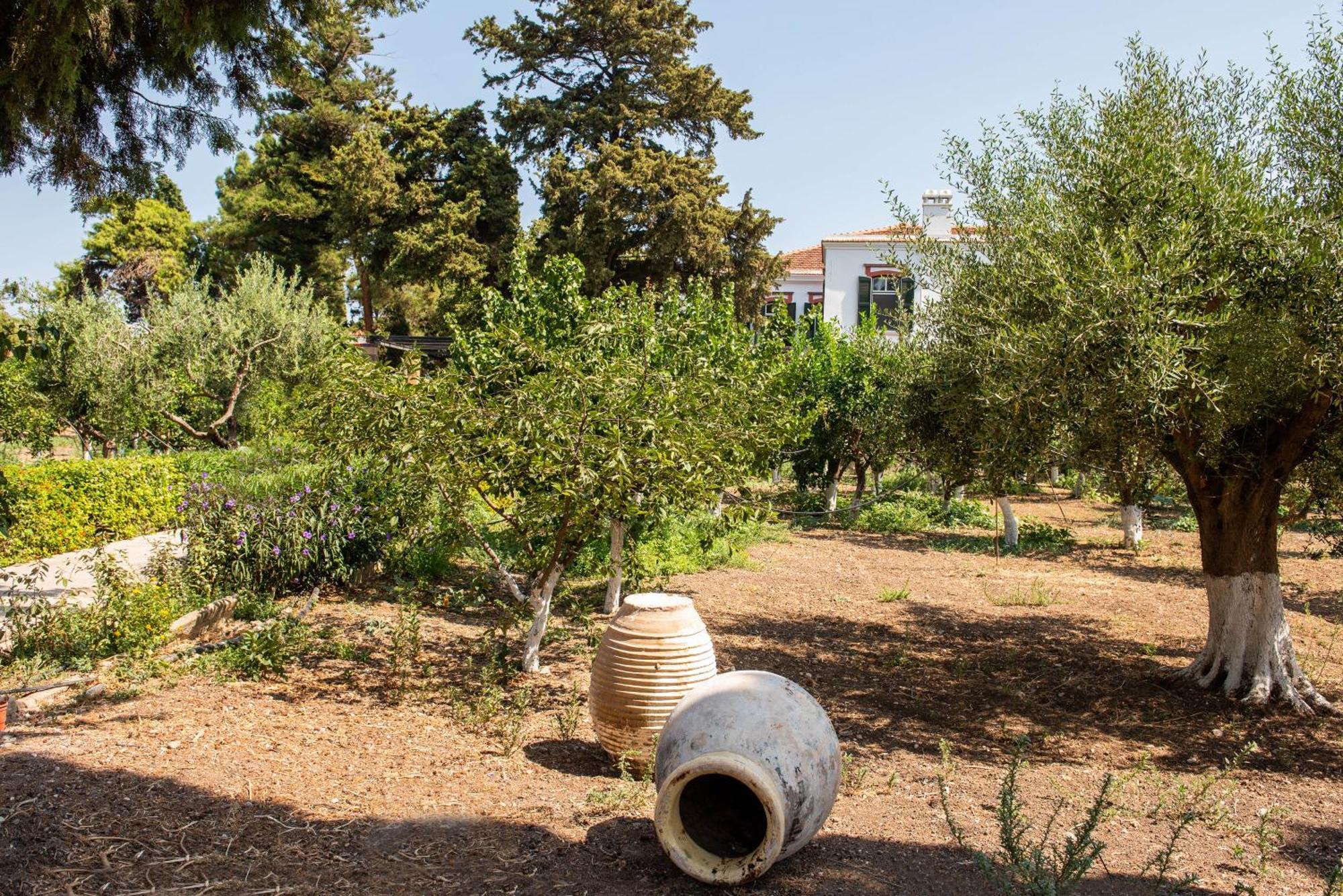 Calvocoressi Estate Chios Town Exteriör bild