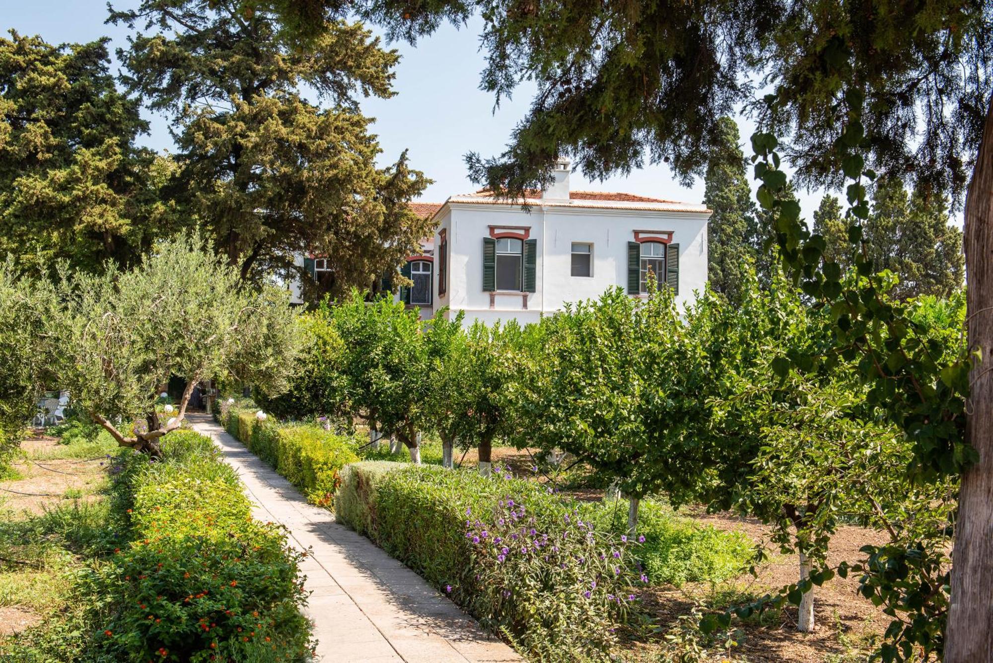 Calvocoressi Estate Chios Town Exteriör bild