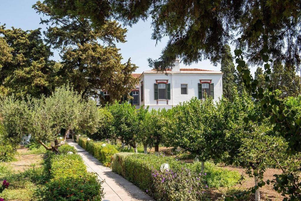 Calvocoressi Estate Chios Town Exteriör bild